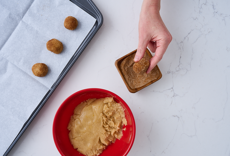 Snickerdoodle Cookies DIY Baking Kit
