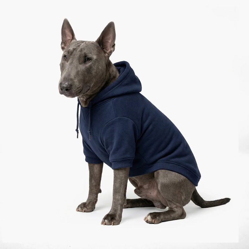 Winter Dog Hoodie