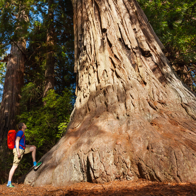 Yosemite National Park Tour for Two, San Francisco, CA