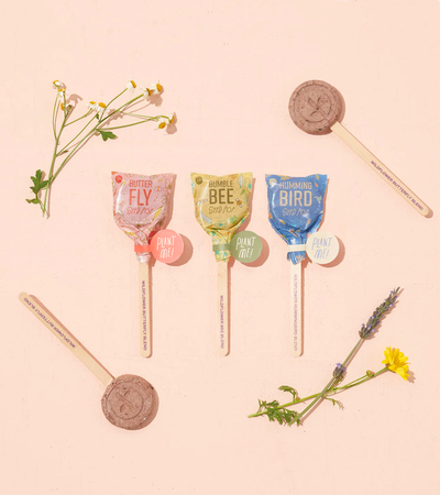 Seed Lollipop 3 Pack