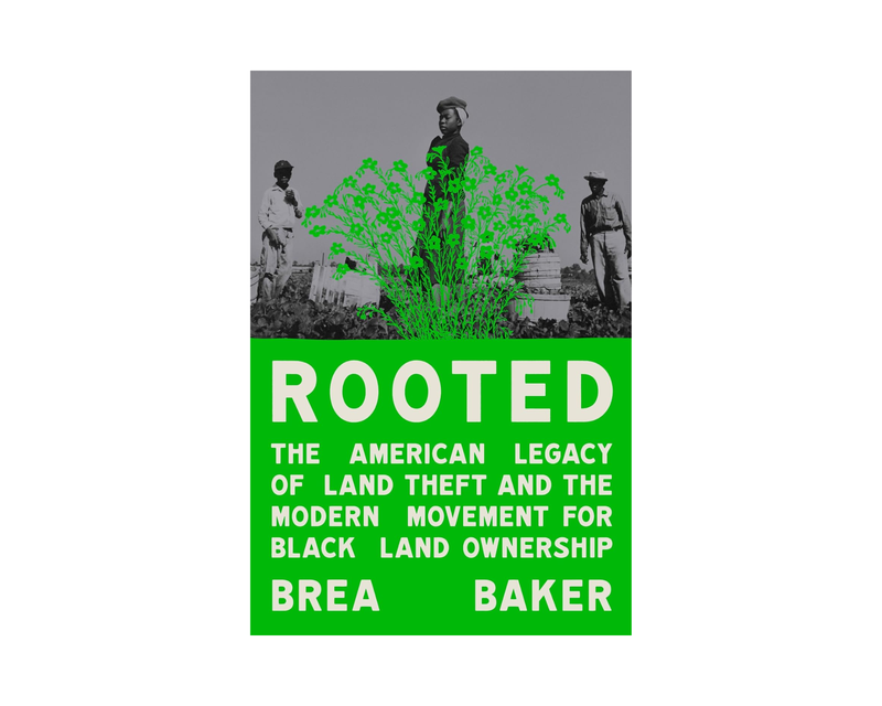 Rooted: The American Legacy of Land Theft and the Modern Movement for Black Land Ownership