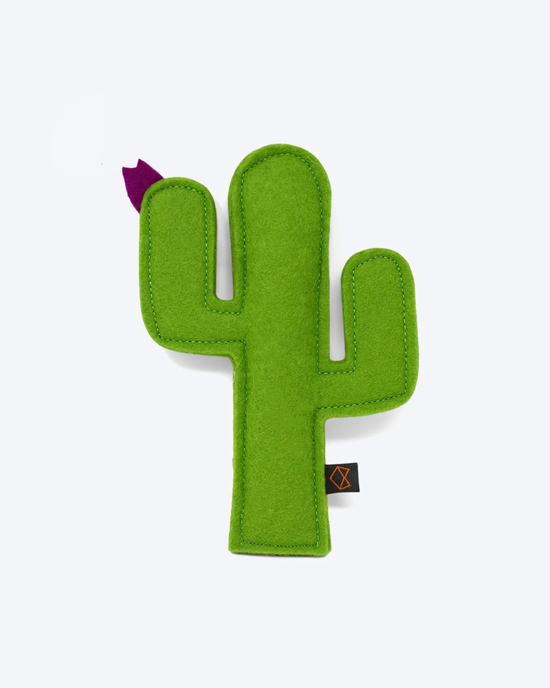 Kitty Cactus