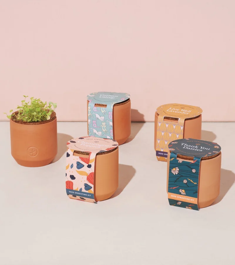 Tiny Terracotta Kit