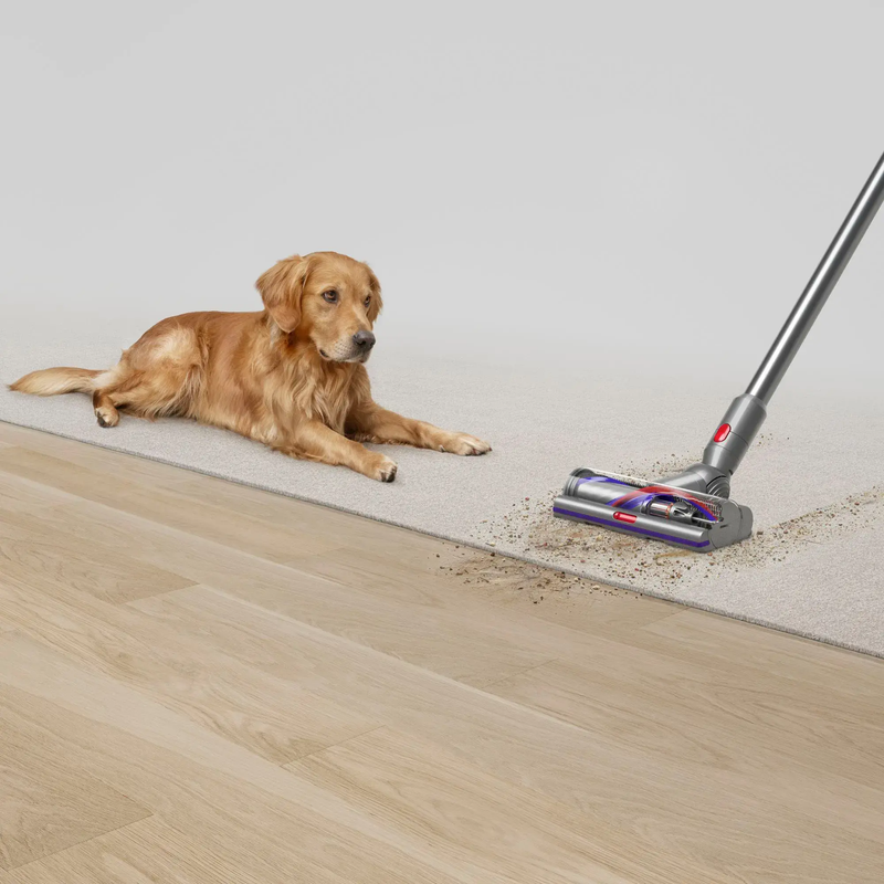 V15 Detect Extra Cordless Vacuum