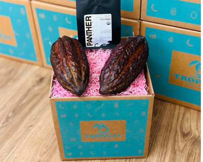 Cacao & Coffee Box