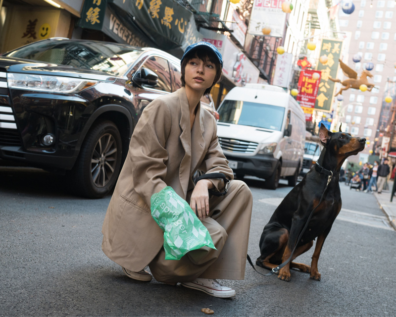 Premium Dog Poop Bags, 300 Bags