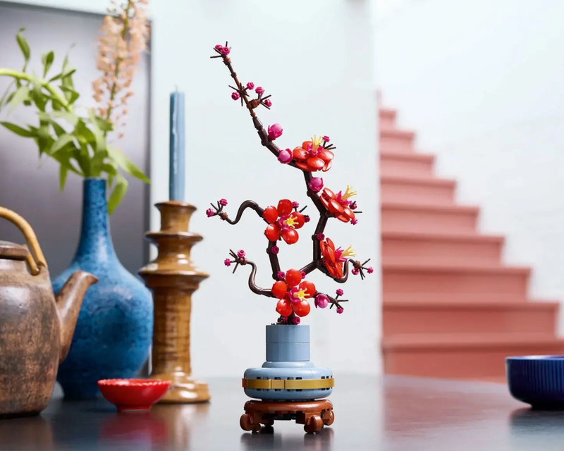 Botanical Collection Plum Blossom Flower 