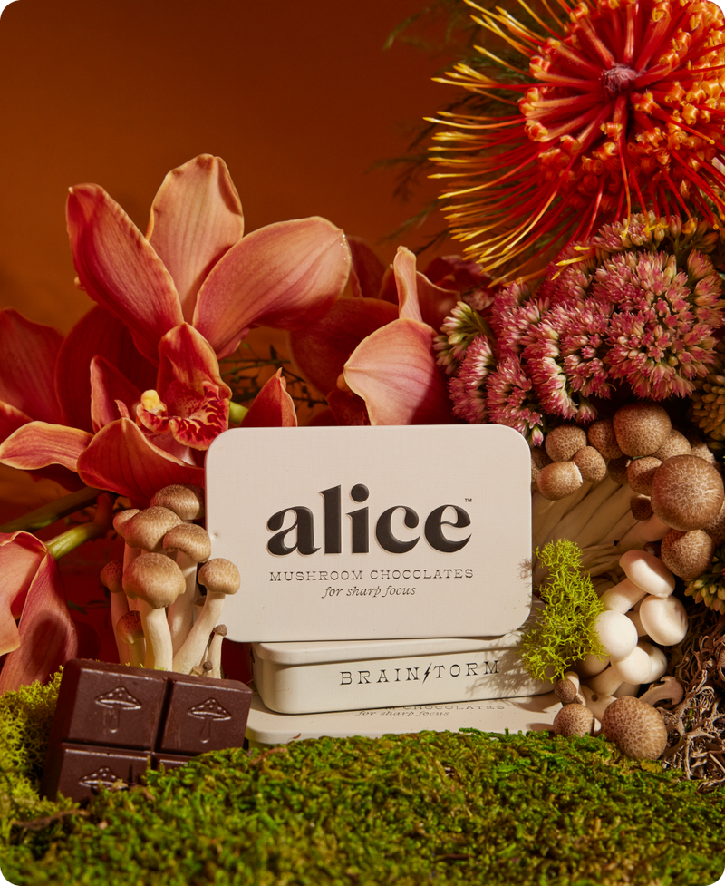 2 Tins Mushroom Chocolates