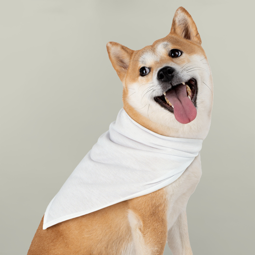 Branded Pet Bandana Collar