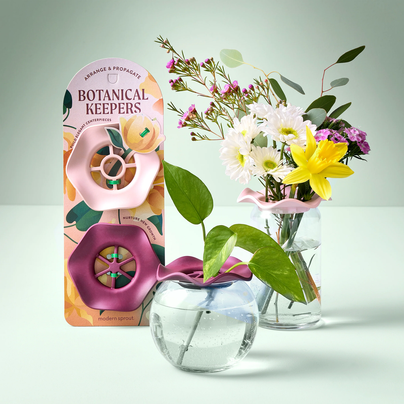 Botanical & Produce Keeper 2-Pack