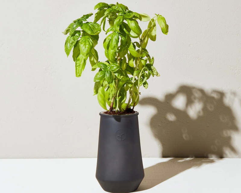 Tapered Tumbler Grow Kit