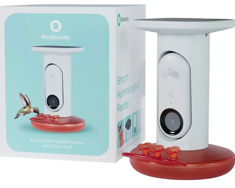Smart Hummingbird Feeder with Solar Roof 