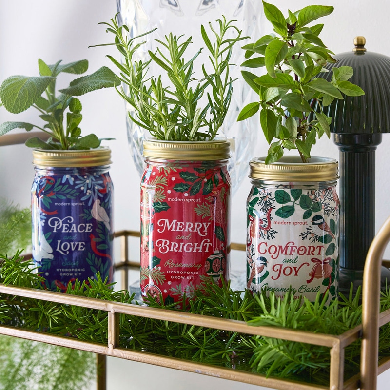 Holiday Herb Garden Jar