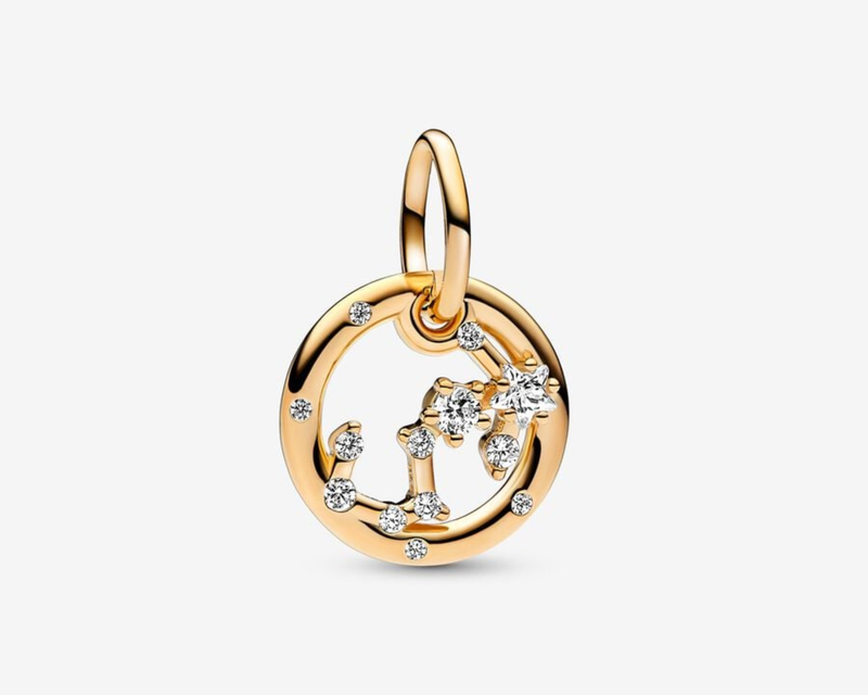 Zodiac Dangle Charm