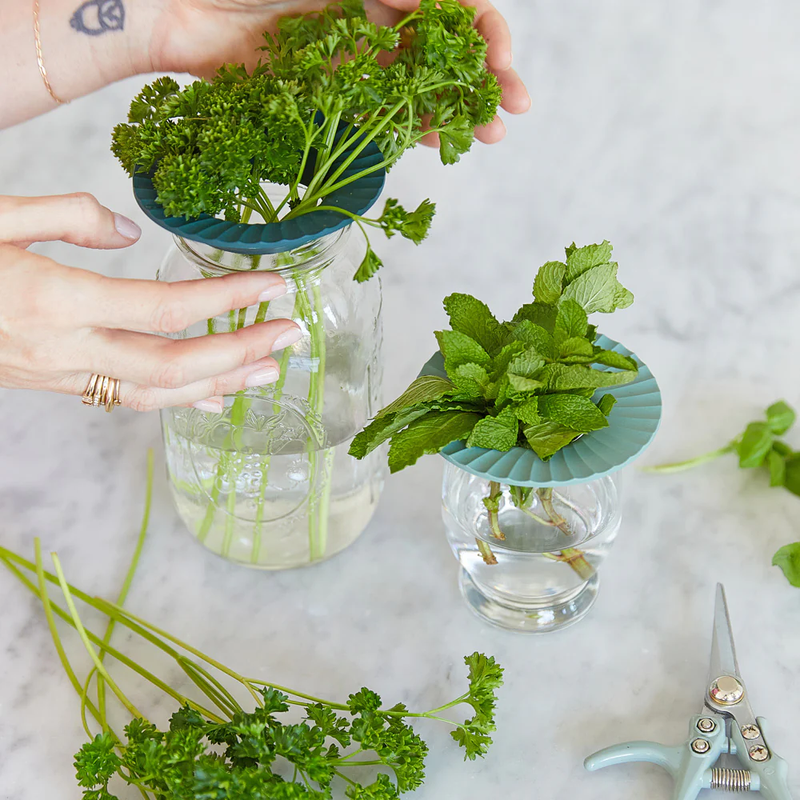 Botanical & Produce Keeper 2-Pack