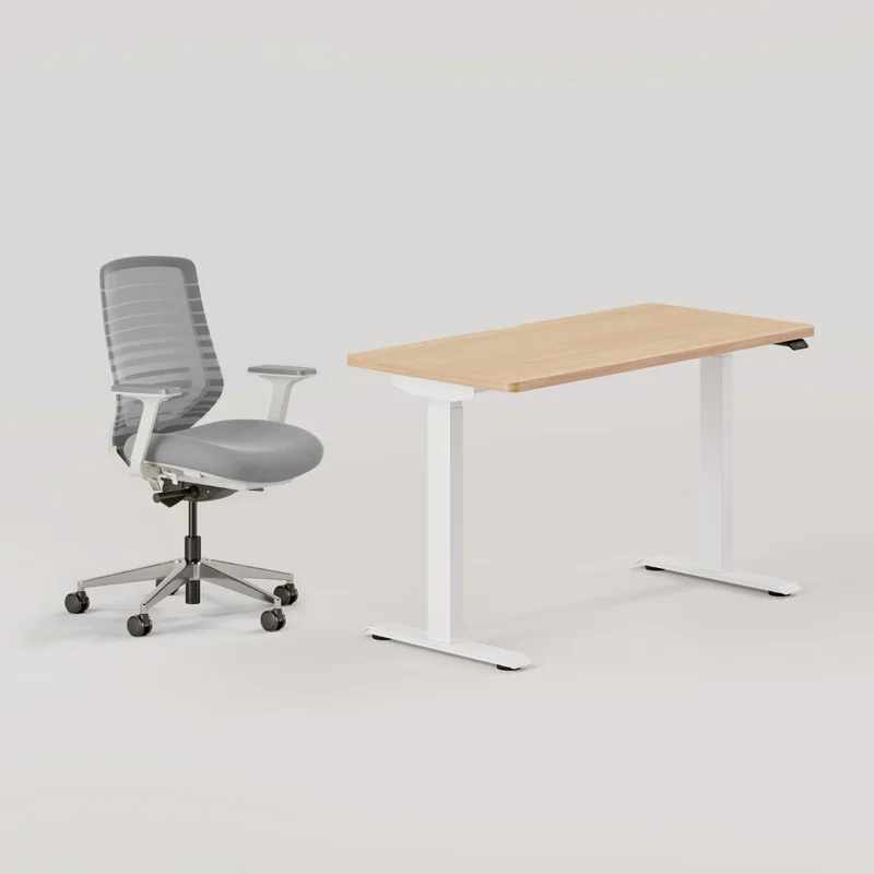 Ergonomic Chair + Standing Desk Bundle