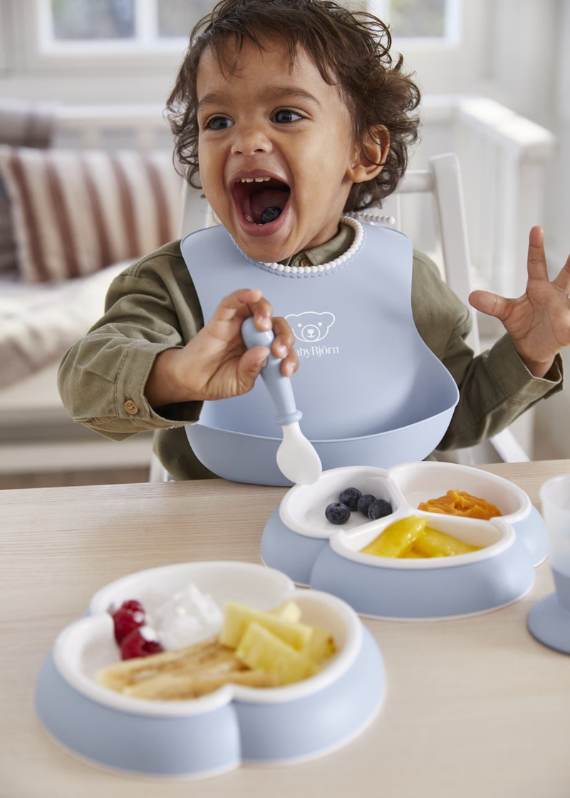 Dinnerware Set
