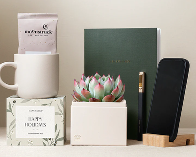 Winter Workspace Succulent Gift Set 