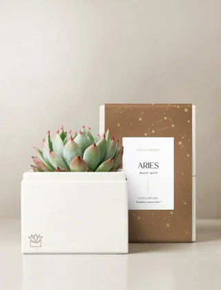 Aries Garden