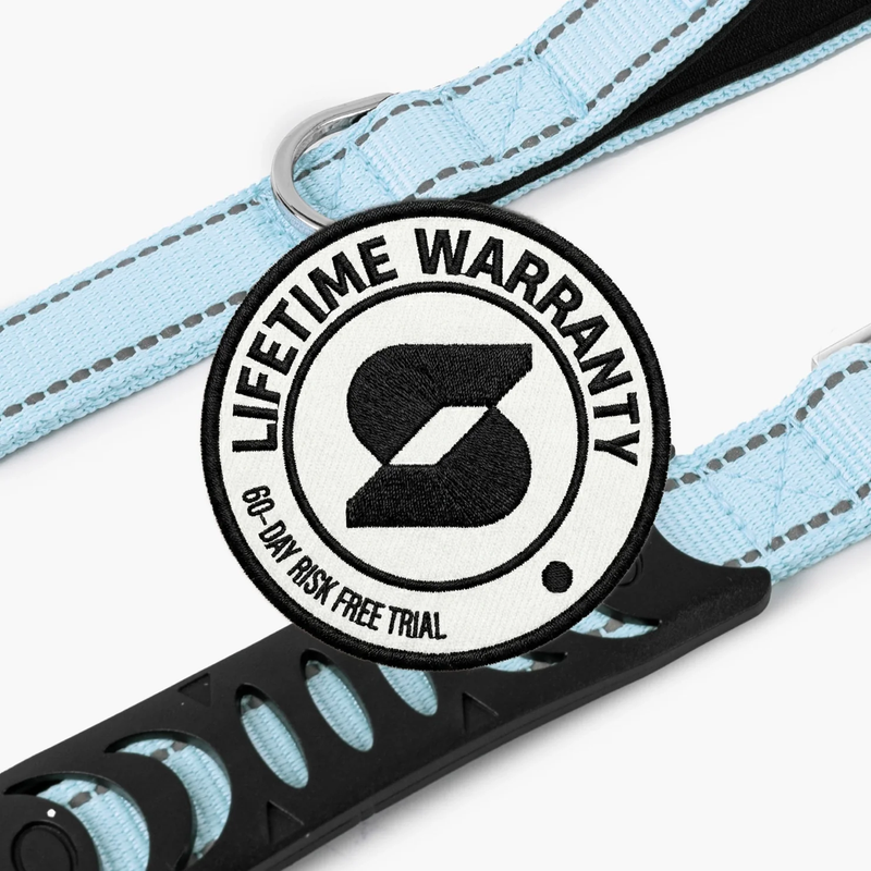 Classic Dog Leash