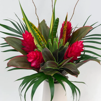 Rainbow Rainforest Bouquet 