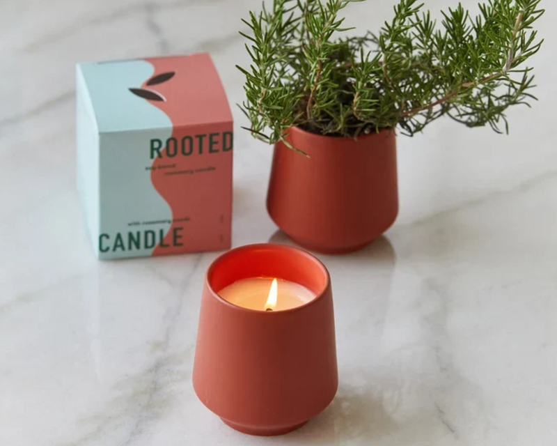 Rooted Candle