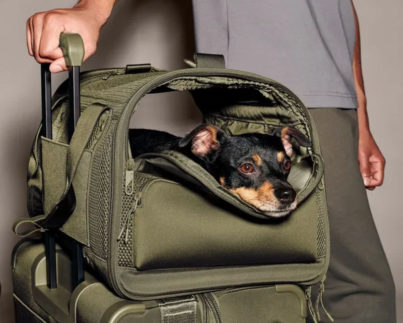 Kyoto Pet Carrier