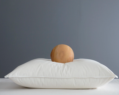 Premium Down Alternative Pillow, Standard