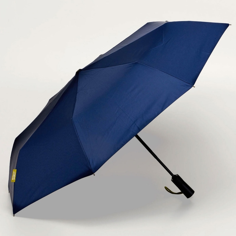 The Daily Umbrella