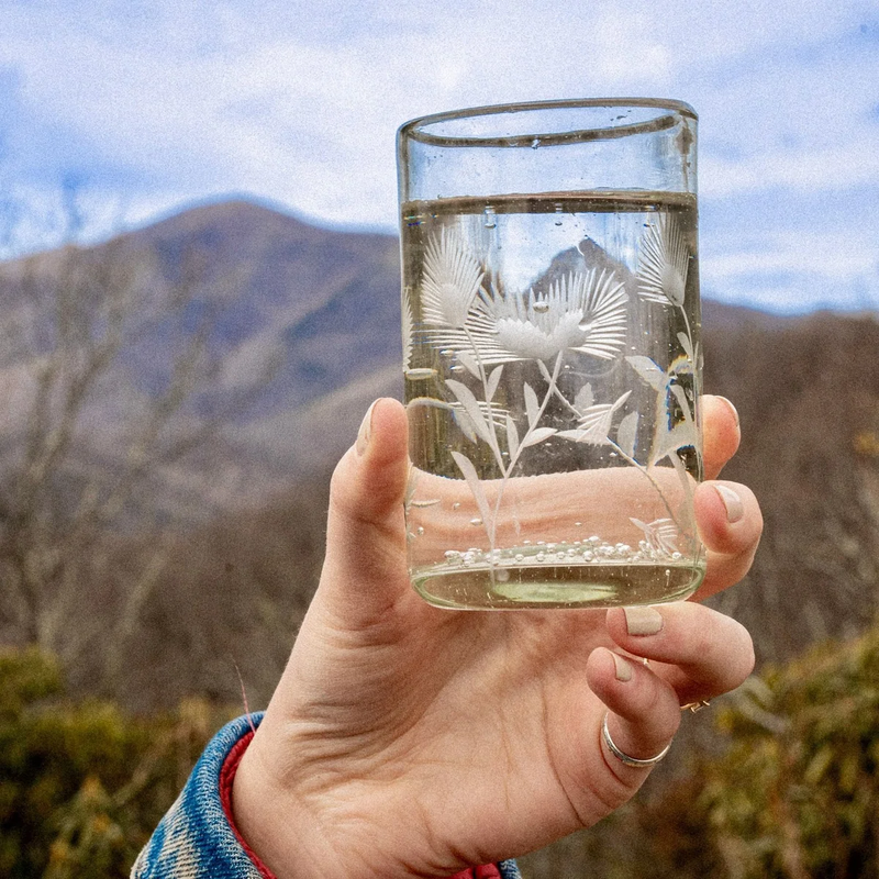 Etched Thistle Tumbler Set of 4