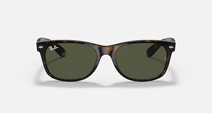 New Wayfarer Classic Sunglasses