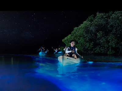 Bioluminescent Paddle Adventure for Two, TIitusville, FL