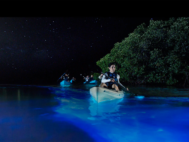 Bioluminescent Paddle Adventure for Two, TIitusville, FL
