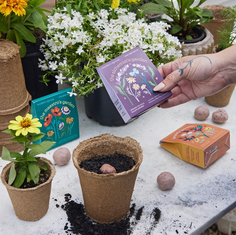 Bespoke Blooms Seed Ball 3-Pack