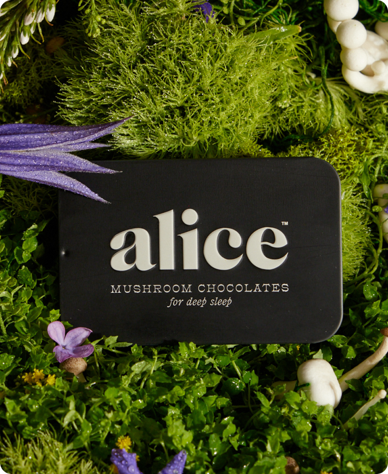1 Tin Mushroom Chocolates