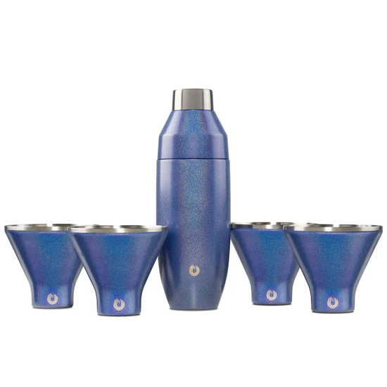 Stainless Steel Cocktail Shaker and Martini Glass Set