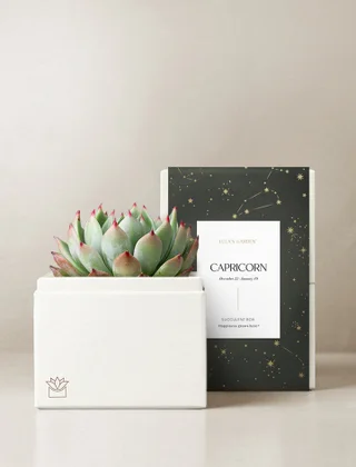 Capricorn Garden