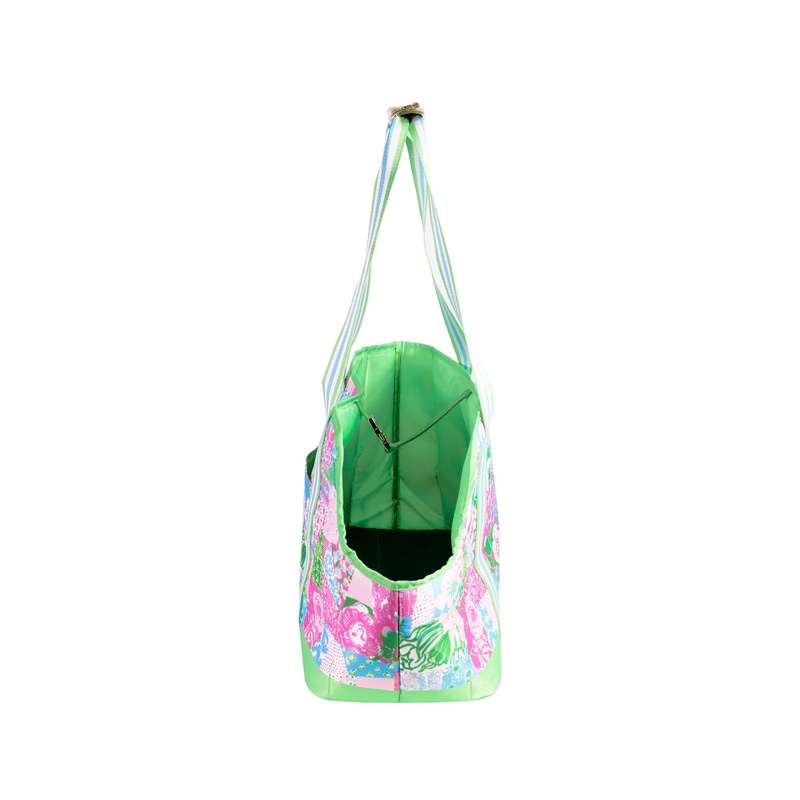 Pet Carrier