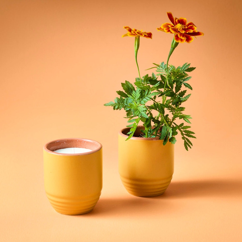 Garden Vibes Candle Planter 2-in-1