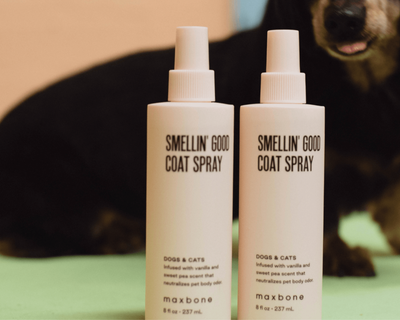 Smellin' Good Dog Coat Spray