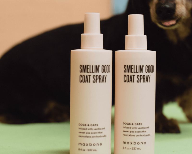 Smellin' Good Dog Coat Spray