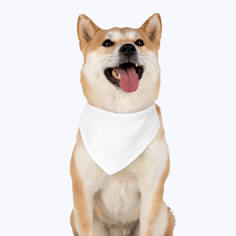 Branded Pet Bandana Collar