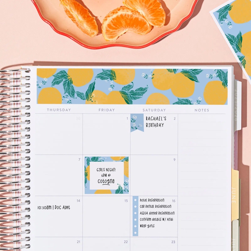 Lemon Citrus Glow Notebook Bundle