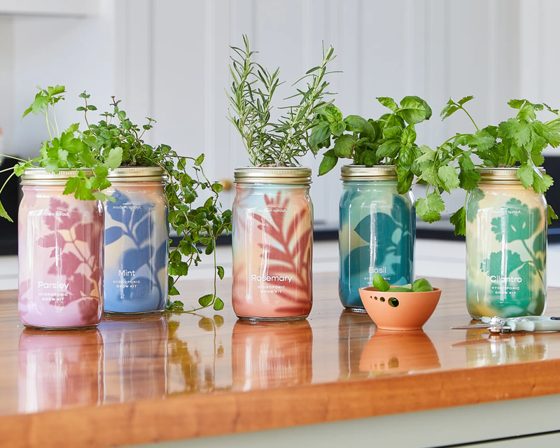 Herb Garden Jar 5-Pack