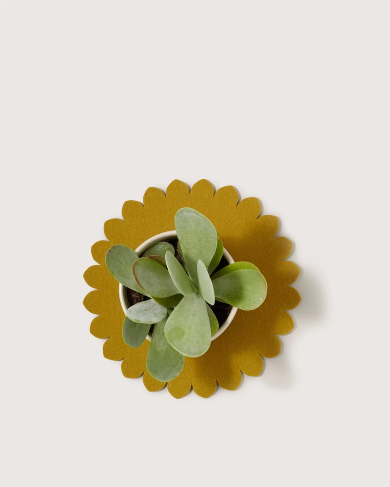 Merino Wool 10" Trivet