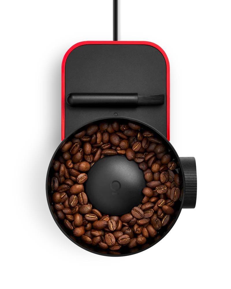 Opus 2 Conical Burr Grinder with Wooden Lid