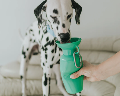 Classic Dog Travel Bottle, 22oz