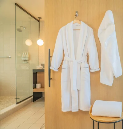 Hotel Bathrobe