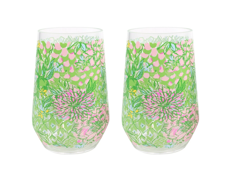 Acrylic Wine Glass Set