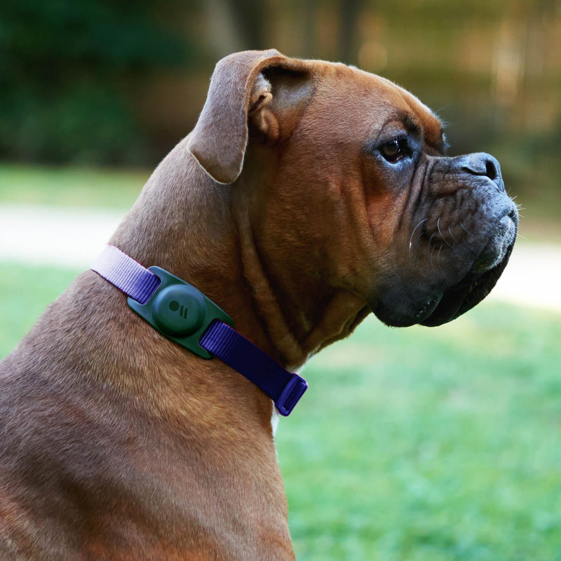 AirTag Case for Dog Collars 2 Pack